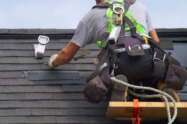 Best Local Roofing Companies  in St James, MN