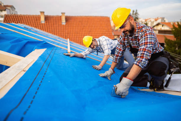 Best Roof Waterproofing Services  in St James, MN